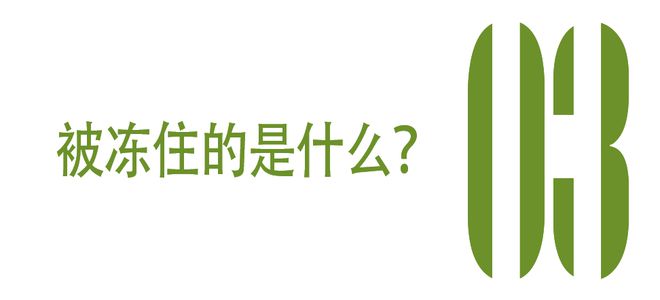 欧陆平台登录:让你加入冻门,不是让你时间静止啊!!